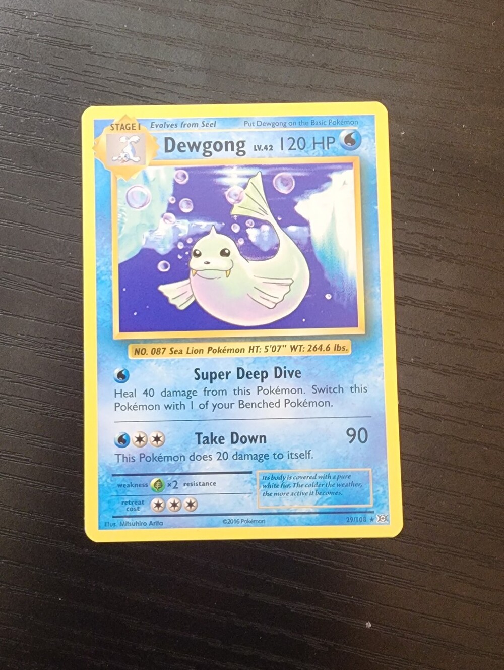 Dewgong Trading Card